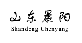 山东晨阳新型碳材料股份有限公司